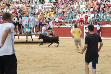 Peñas y quintadas en las fiestas de Sant Jaume de Ondara 09