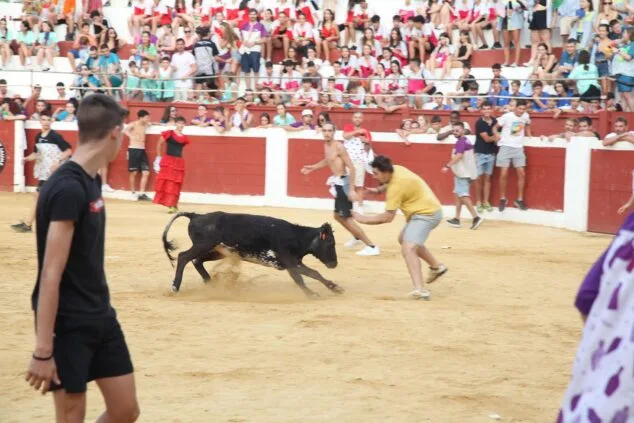 penas y quintadas en las fiestas de sant jaume de ondara 10