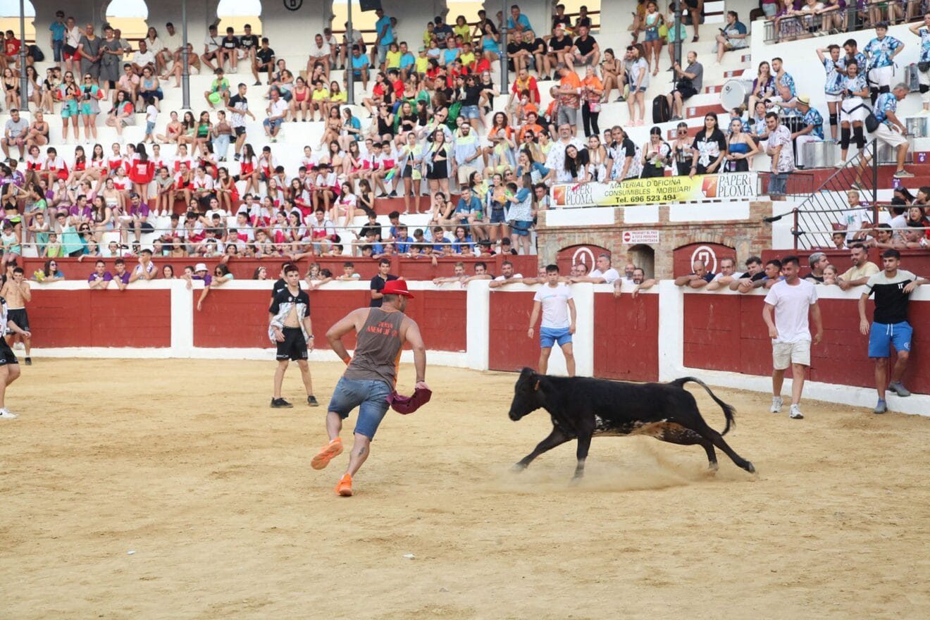 Peñas y quintadas en las fiestas de Sant Jaume de Ondara 11
