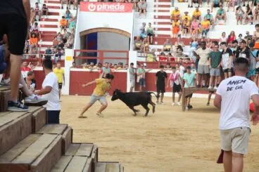 Peñas y quintadas en las fiestas de Sant Jaume de Ondara 14