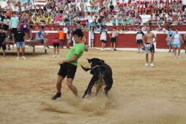 Peñas y quintadas en las fiestas de Sant Jaume de Ondara 15