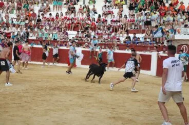 Peñas y quintadas en las fiestas de Sant Jaume de Ondara 16