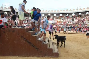 Peñas y quintadas en las fiestas de Sant Jaume de Ondara 17
