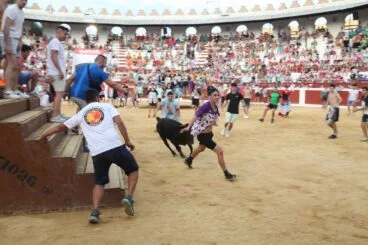 Peñas y quintadas en las fiestas de Sant Jaume de Ondara 18