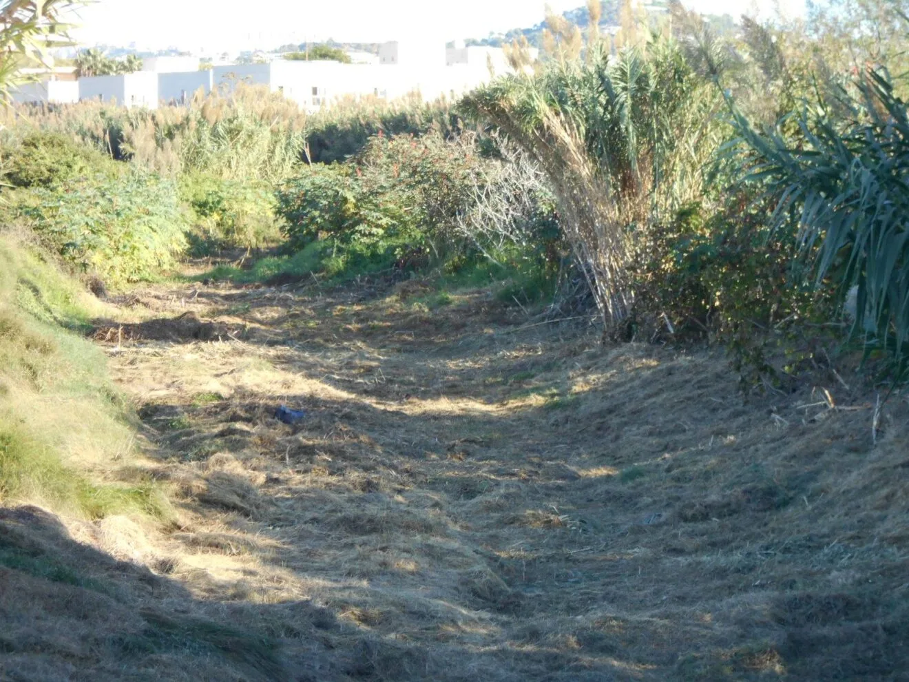 Barranco de Calp