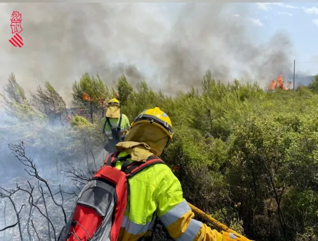 Desalojan varias viviendas de Pego por el avance del incendio de la Vall d'Ebo 1 Imagen: Bomberos forestales trabajando en la extinción del incendio de Vall d'Ebo