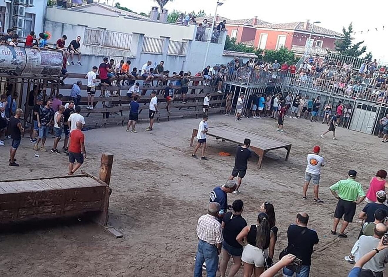 Bous al carrer en las fiestas patronales de Beniarbeig