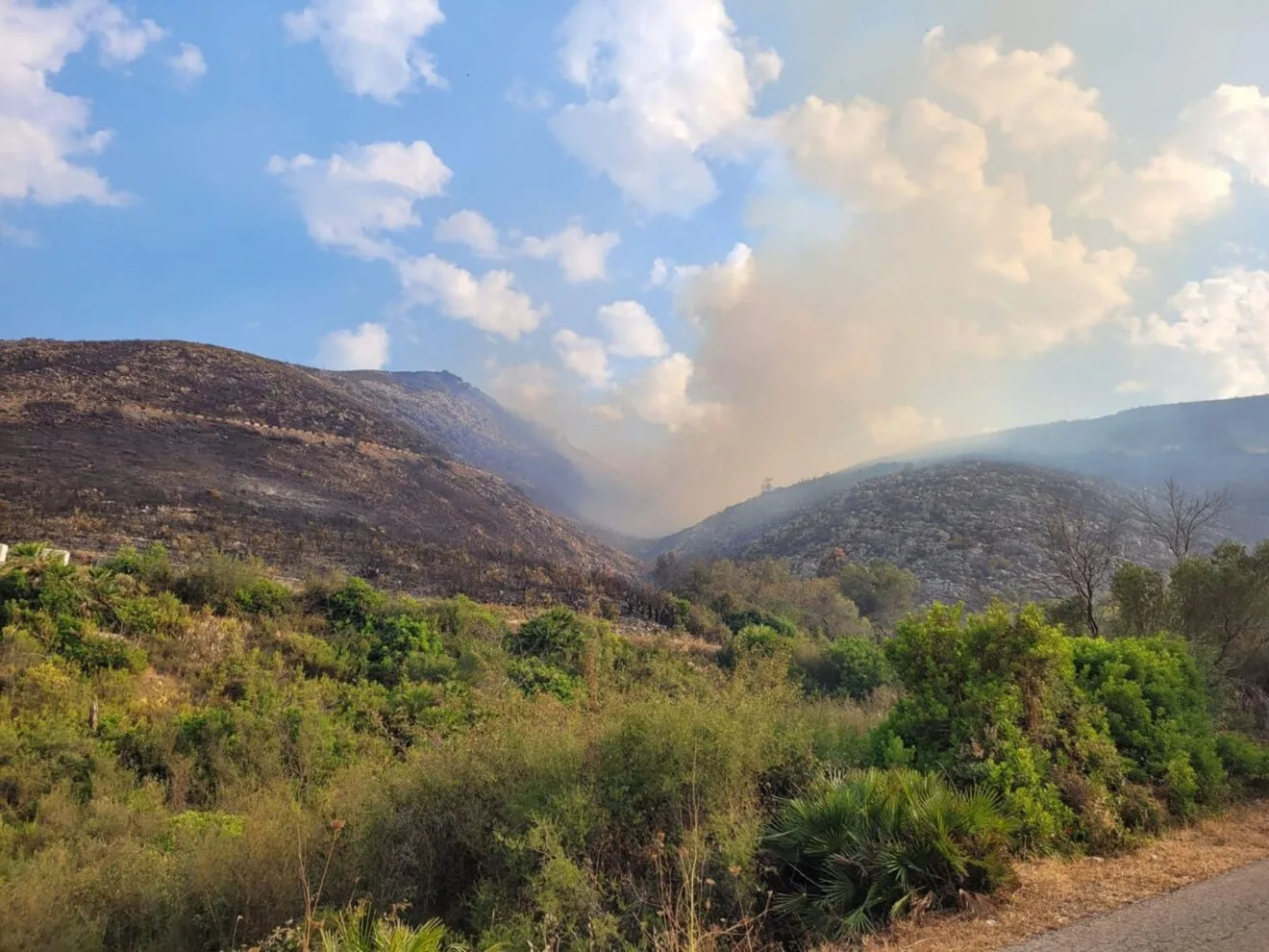 Carretera de Pego a Ebo tras el incendio en les Valls de la Marina