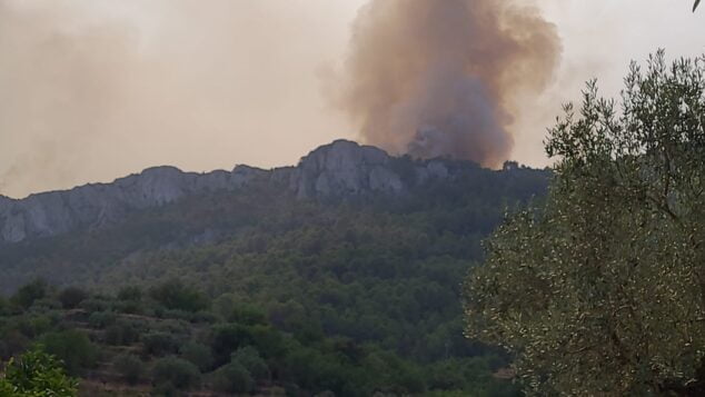 Imagen: El fuego alcanza el linde de la zona forestal de la Vall de Gallinera
