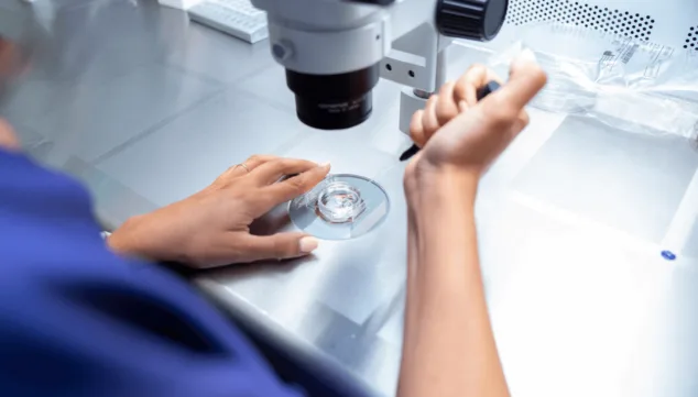fecundacion in vitro en irema