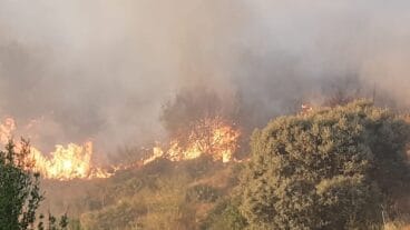 Imágenes del fuego en la Vall de Laguar