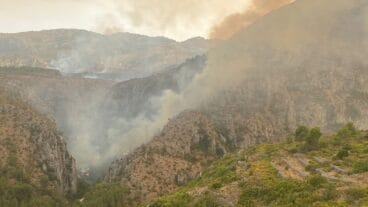 Incendio Barranc 2