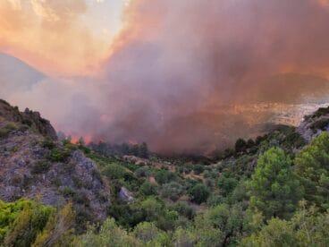 Incendio desde Pego hacia Ebo en la tarde del martes 01