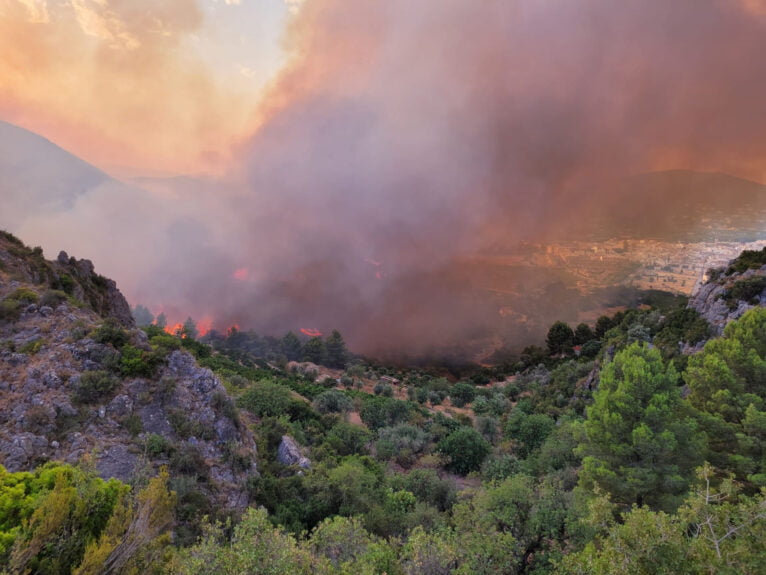 Incendio desde Pego hacia Ebo en la tarde del martes 01