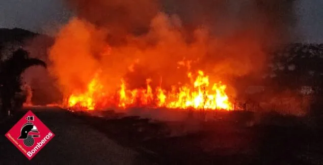 Imagen: Incendio producido en Pego