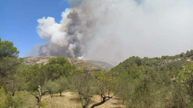Imagen: incendio Vall Ebo