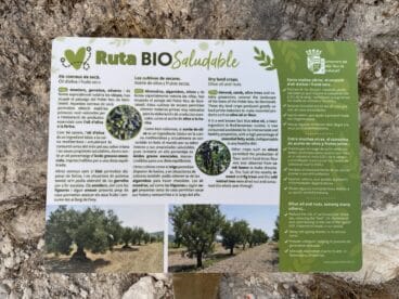 Información sobre los cultivos de secano en la ruta poblera