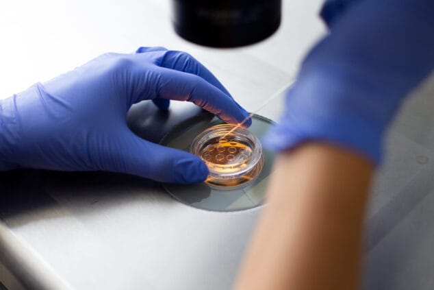 IREMA 6 laboratorio de fecundacion in vitro 1