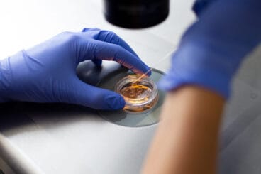 Laboratorio de fecundación in vitro