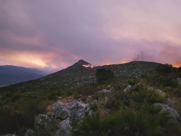 Llamas en el incendio de Vall d'Ebo (lunes 15 de agosto)