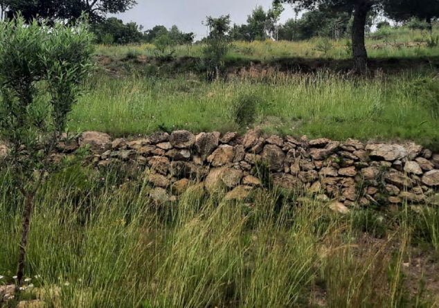 Muro em pedra seca