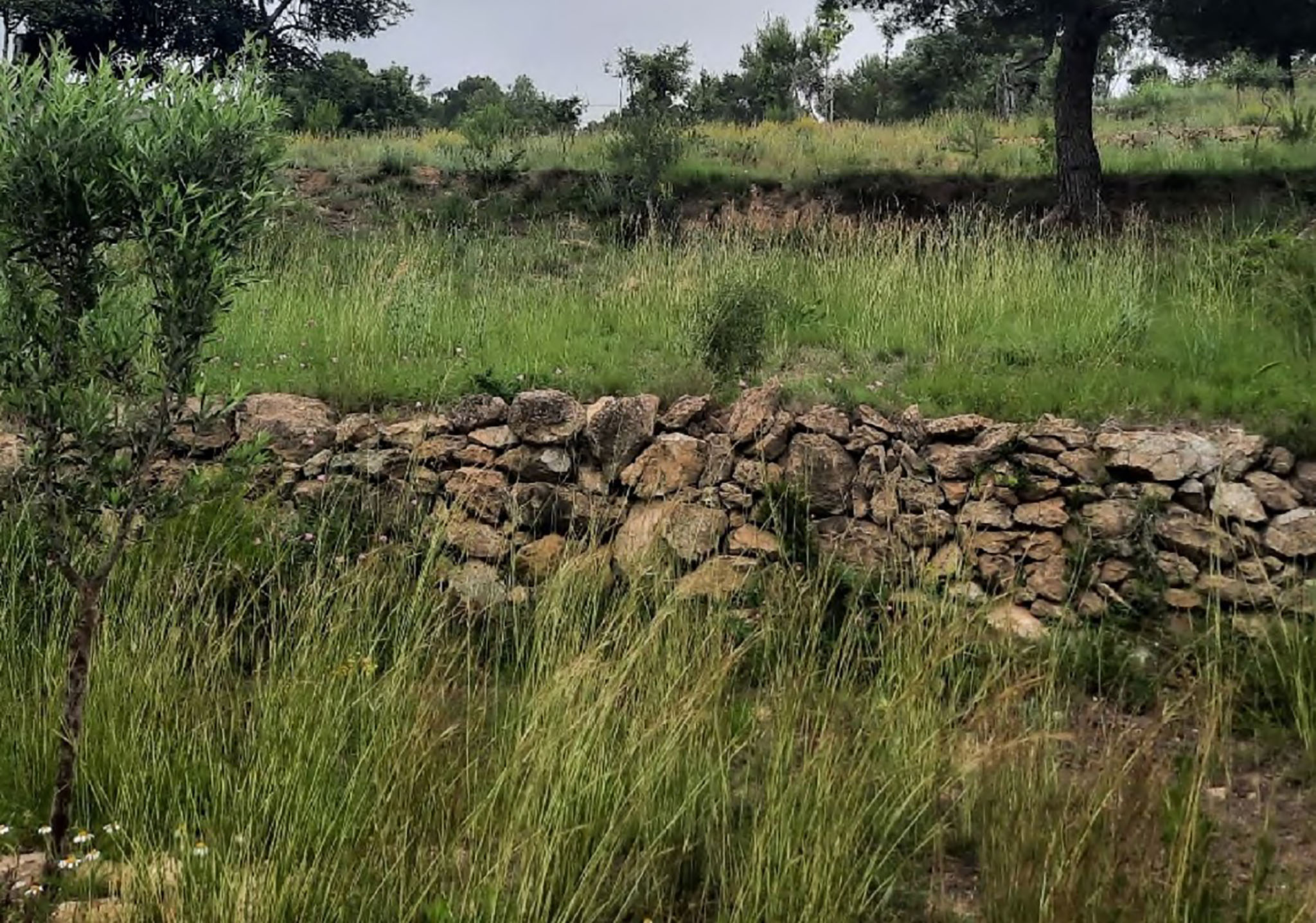 Construção de muro em pedra seca 😉 - RMCC construções.