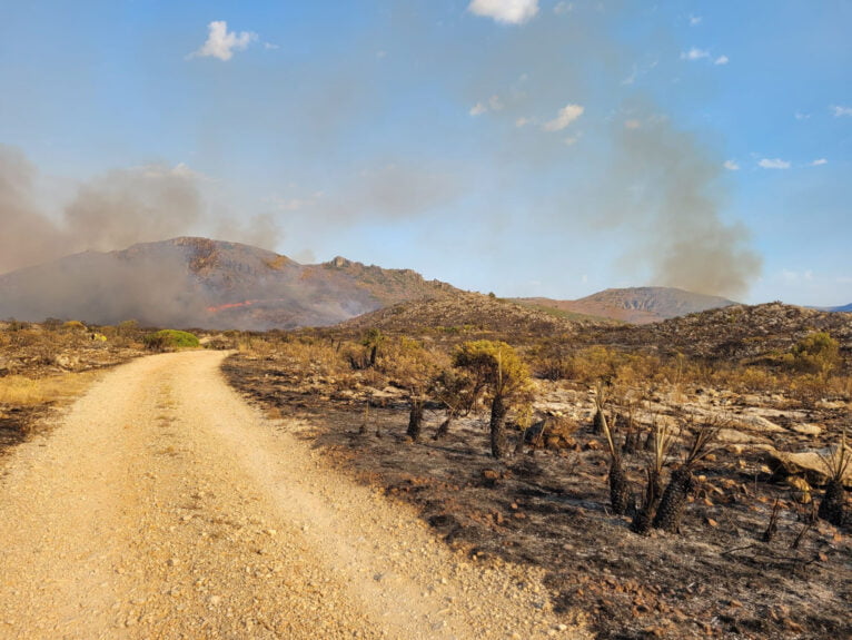 Parte del área quemada en la Vall d'Ebo (martes 16 de agosto)