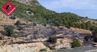Pinada quemada en Benissa junto a la AP-7