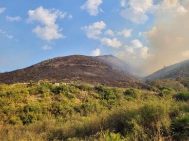 Terreno calcinado de Pego a Vall d’Ebo martes 16 de agosto 04