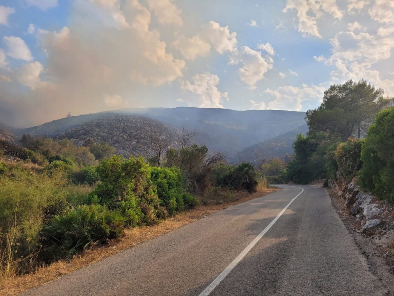 Terreno calcinado de Pego a Vall d'Ebo martes 16 de agosto 05