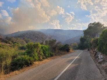 Terreno calcinado de Pego a Vall d’Ebo martes 16 de agosto 05