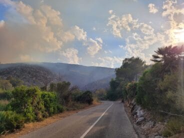 Terreno calcinado de Pego a Vall d’Ebo martes 16 de agosto 06