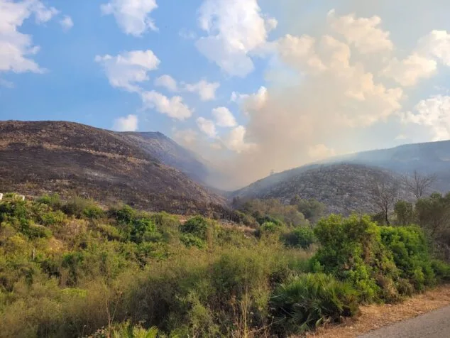 terreno calcinado de pego a vall debo martes 16 de agosto 07