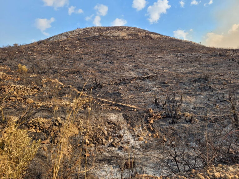 Terreno calcinado de Pego a Vall d'Ebo martes 16 de agosto 09