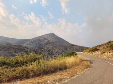Terreno calcinado de Pego a Vall d’Ebo martes 16 de agosto 10