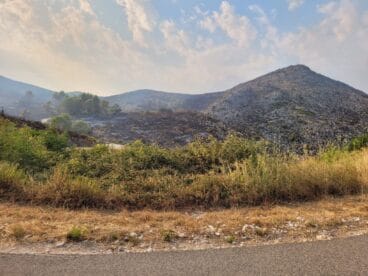 Terreno calcinado de Pego a Vall d’Ebo martes 16 de agosto 11