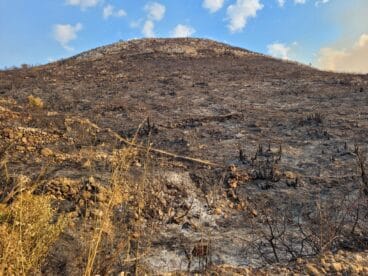 Terreno calcinado de Pego a Vall d’Ebo martes 16 de agosto 12