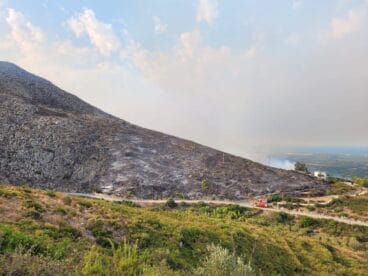 Terreno calcinado de Pego a Vall d’Ebo martes 16 de agosto 13
