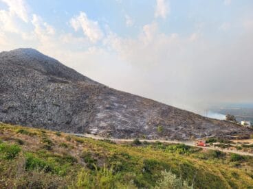 Terreno calcinado de Pego a Vall d’Ebo martes 16 de agosto 17