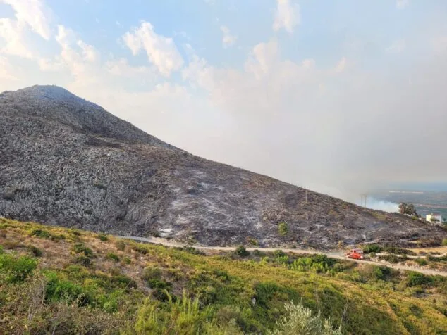 terreno calcinado de pego a vall debo martes 16 de agosto 17