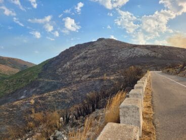 Terreno calcinado de Pego a Vall d’Ebo martes 16 de agosto 18