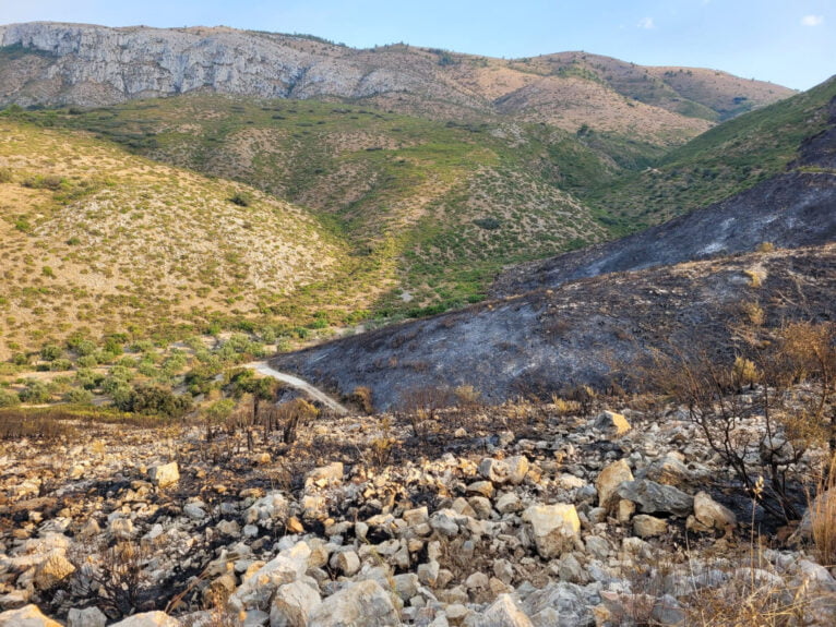 Terreno calcinado de Pego a Vall d'Ebo martes 16 de agosto 19