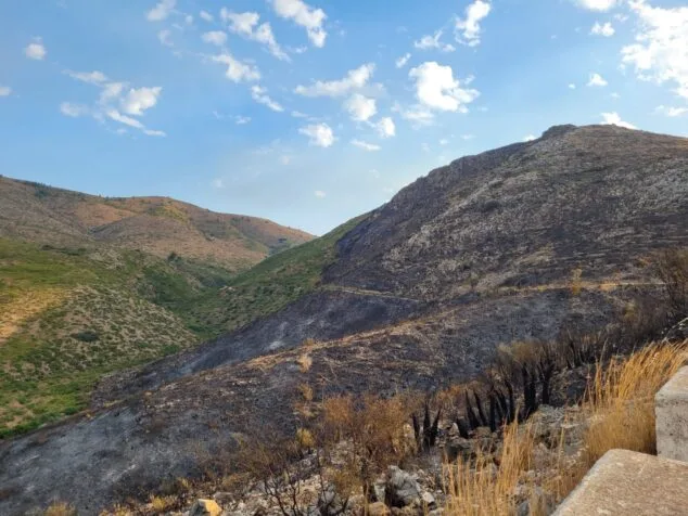 terreno calcinado de pego a vall debo martes 16 de agosto 20