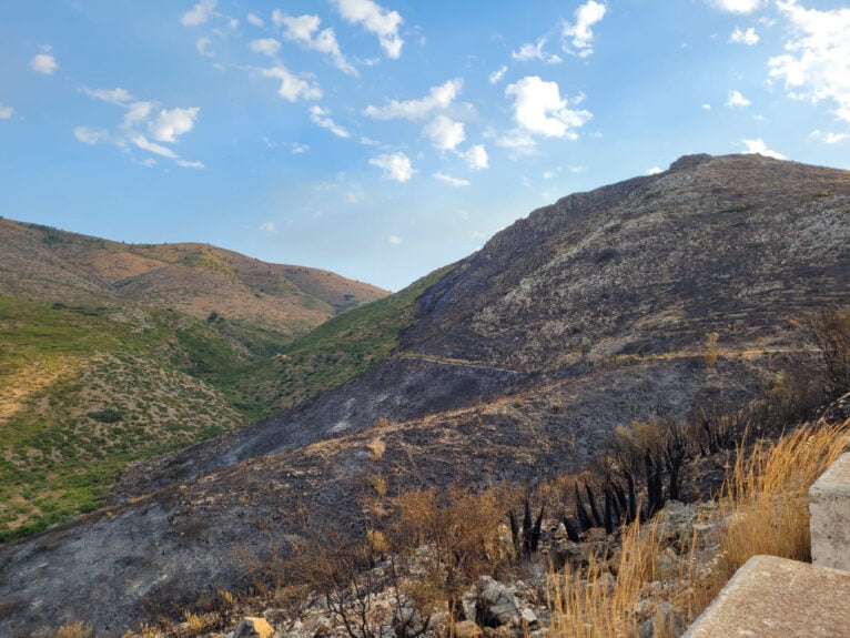 Terreno calcinado de Pego a Vall d'Ebo martes 16 de agosto 20