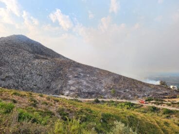 Terreno calcinado de Pego a Vall d’Ebo martes 16 de agosto 21