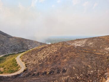 Terreno calcinado de Pego a Vall d’Ebo martes 16 de agosto 24
