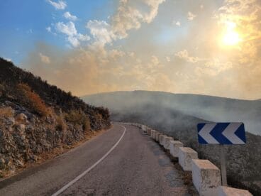 Terreno calcinado de Pego a Vall d’Ebo martes 16 de agosto 26
