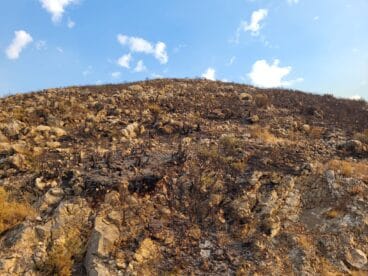 Terreno calcinado de Pego a Vall d’Ebo martes 16 de agosto 27