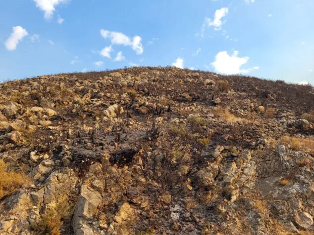 terreno calcinado de pego a vall debo martes 16 de agosto 27