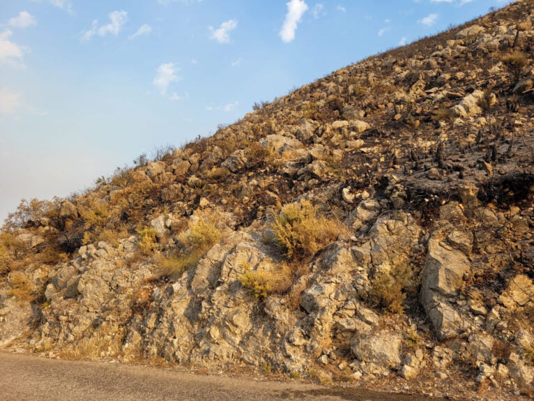 Terreno calcinado de Pego a Vall d'Ebo martes 16 de agosto 28